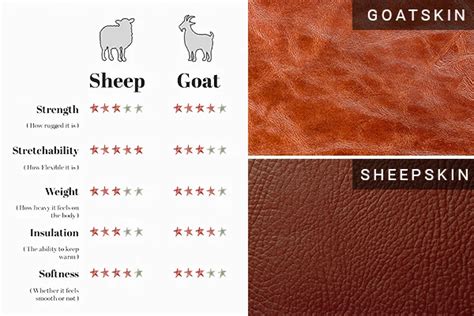 sheepskin vs goatskin.